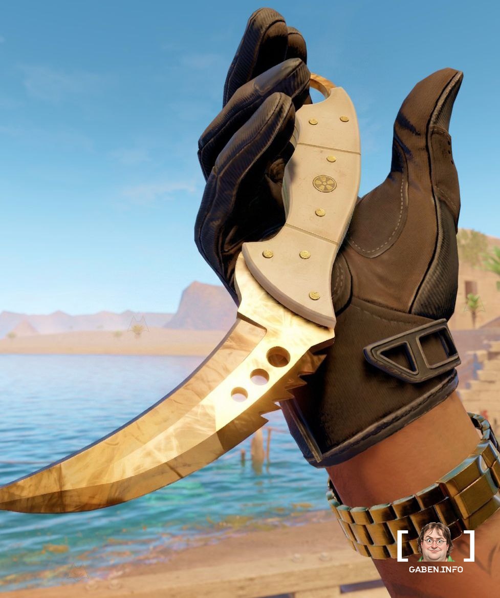 ✨ Golden doppler?✨ The last time Valve added new skins for knives was in 2016.Since then, new types of knives have appea...