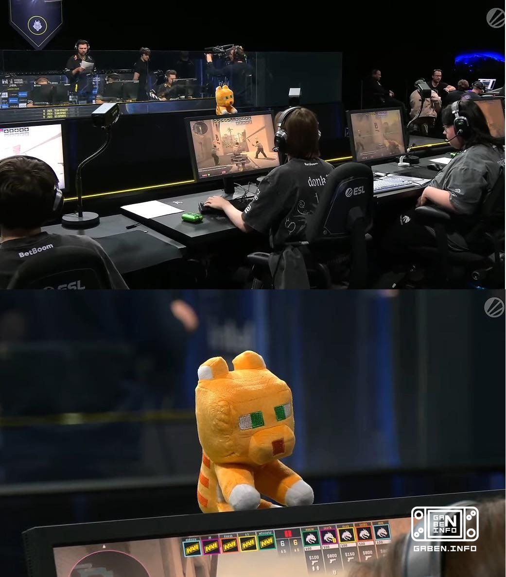 The secret of donk's power lies in the disapproving gaze of the plush ocelot from Minecraft.