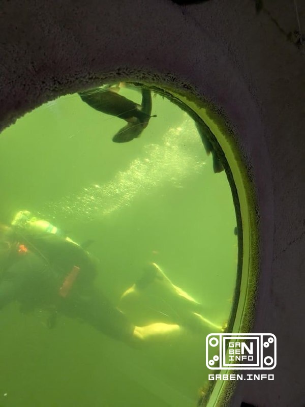 🦑 Геймер с реддита показал максимальное погружение в Subnautica 2. Он запустил игру в подводном номере отеля. Есть такое...