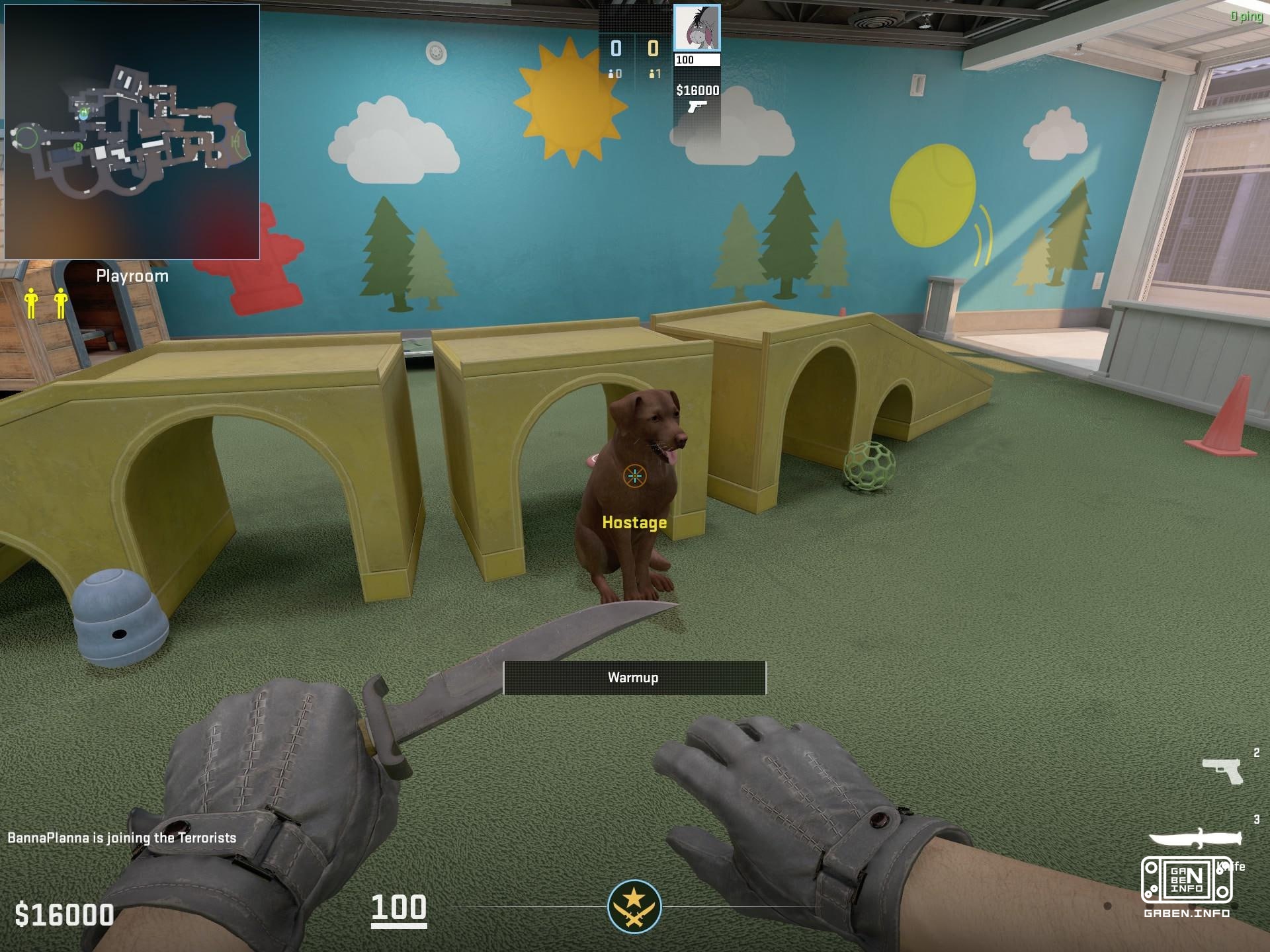 🐕 На карте Shelter в заложниках — собака