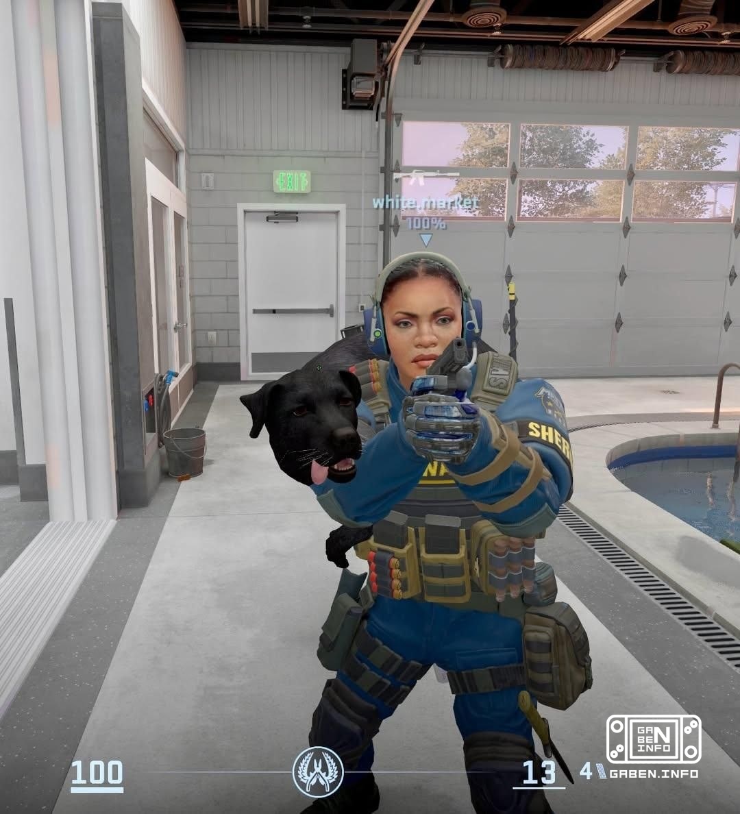 Valve added dogs to CS2, you can find them on the new map Shelter 🐶