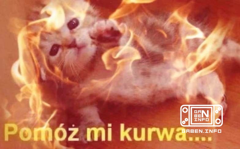 Die Deluxe Edition von Dragon's Dogma 2 wird am 25. Juni um 3 Uhr Moskauer Zeit aus dem Verkauf genommen. Alle Boni könn...