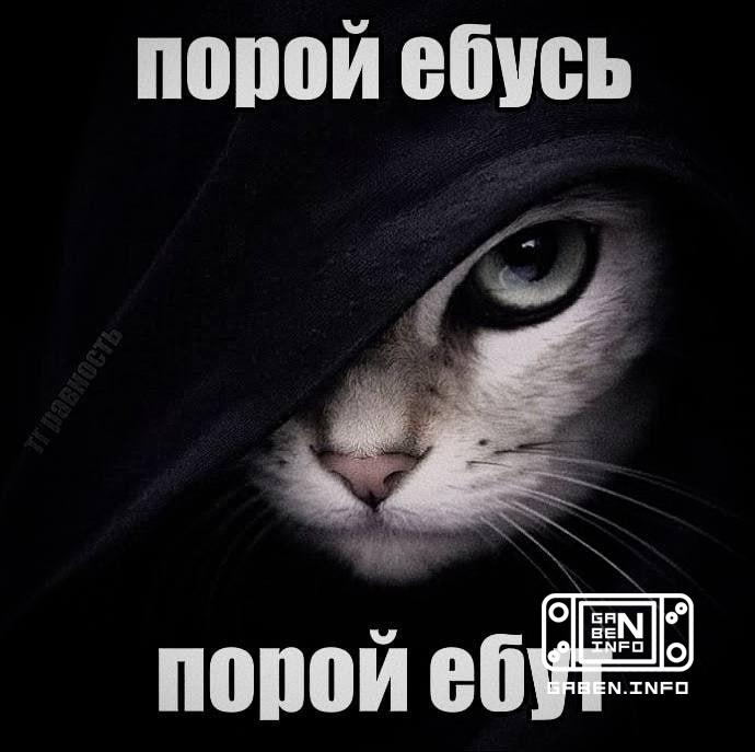 این همه چیز است: کرافتن به توسعه دهندگان Unknown Worlds Entertainment پاداش هنگفتی را برای انتشار موفقیت آمیز Subnautica...