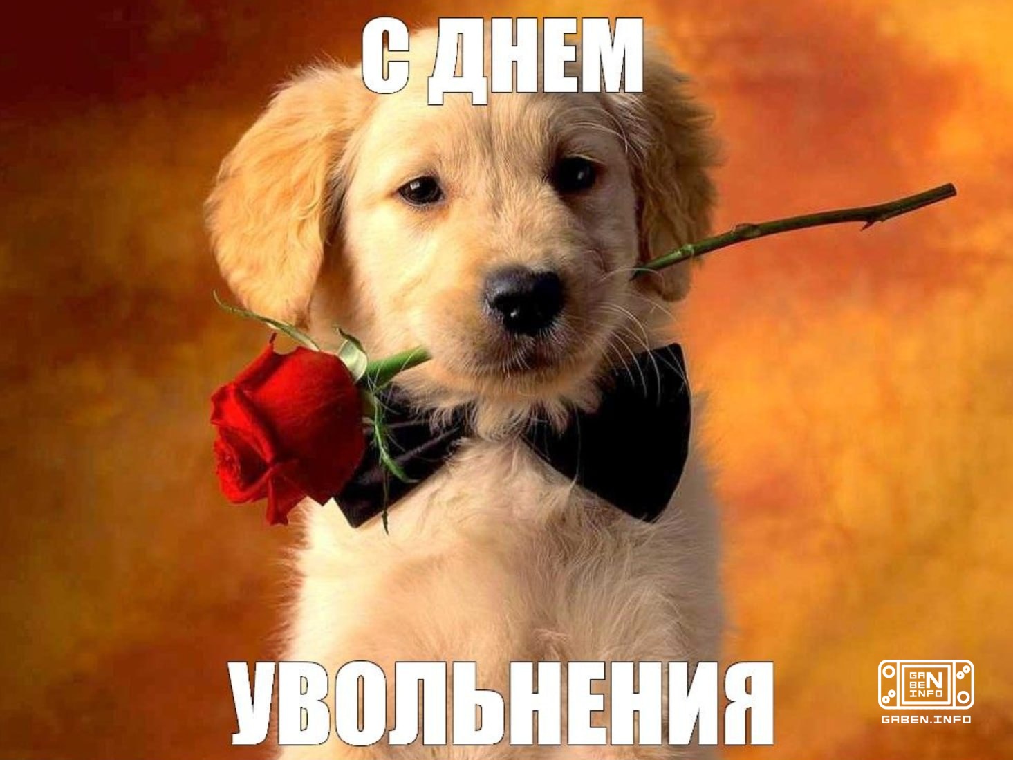 > Проснулся > Открыл игровой паблик > УВОЛЬНЕНИЯ УВОЛЬНЕНИЯ ЗАКРЫТИЯ УВОЛЬНЕНИЕ СМЕРТЬ УВОЛЬНЕНИЯ КОНЕЦ ИГРОВОЙ ИНДУСТРИ...