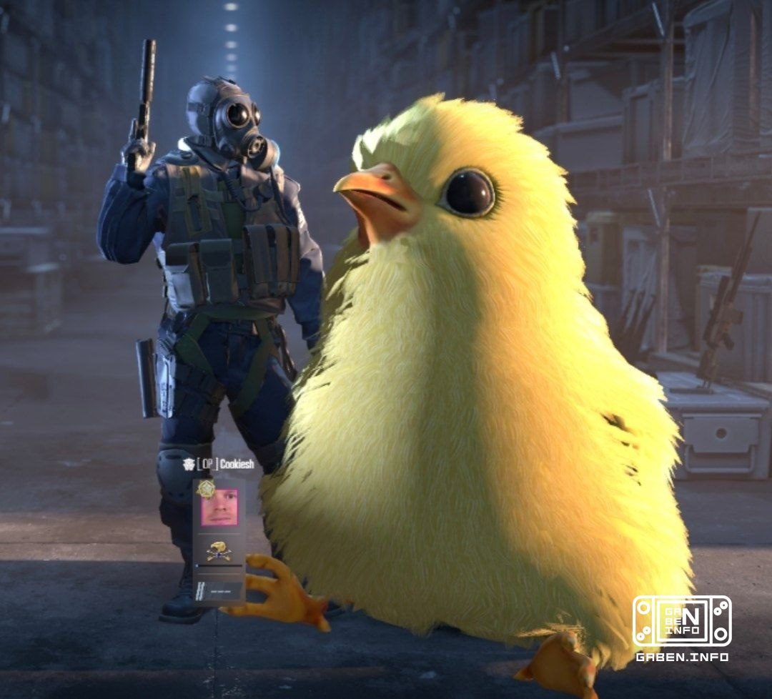 Hoe snel een kip te laten groeien (of verveelen). We voeren het in de console: cl_ent_scale 4 chicken