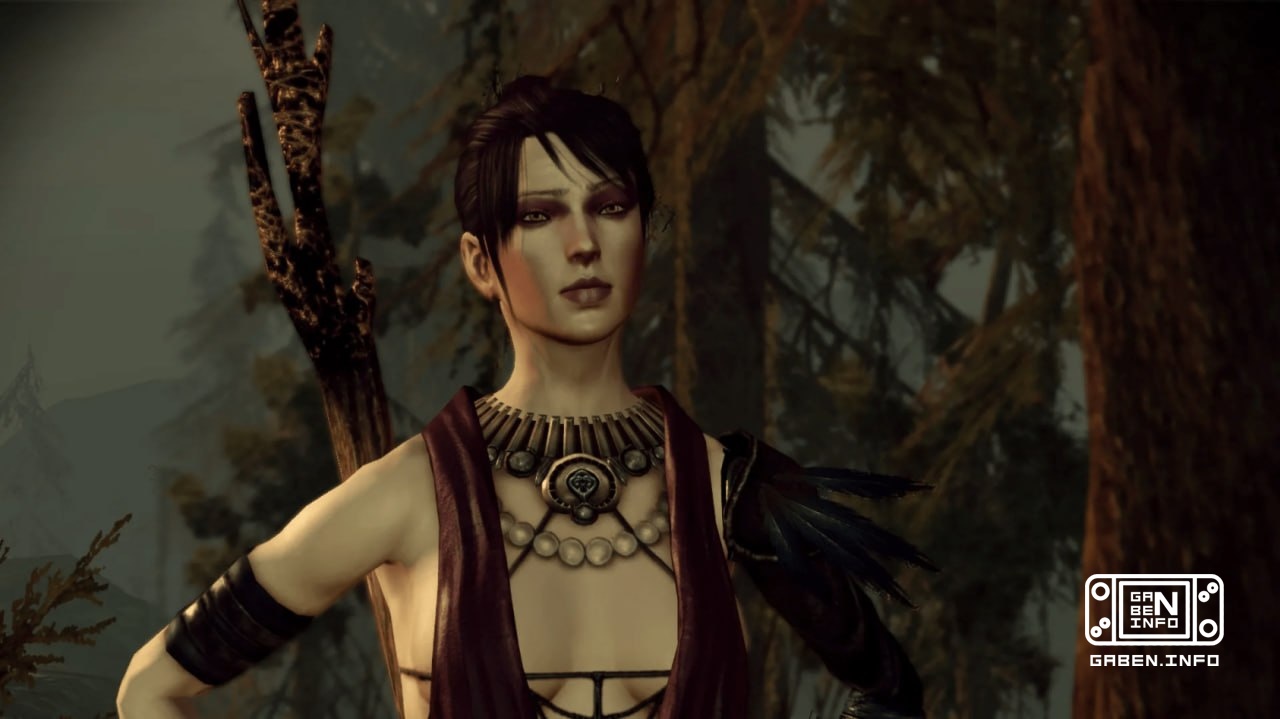 یکی از بنیانگذاران BioWare می گوید که بازسازی Dragon Age هنوز امکان پذیر است. ترنت اوستر در مورد امکان فنی انتشار مجدد ت...