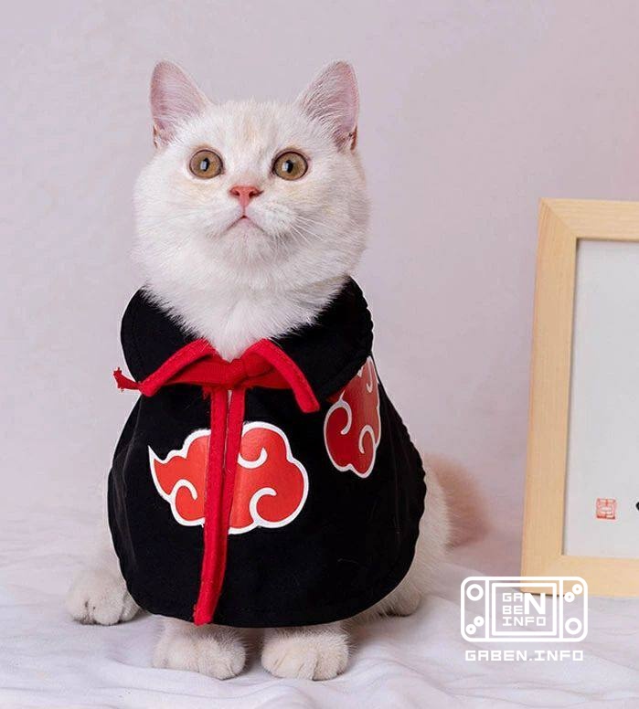 Los fanáticos de Naruto ahora pueden hacerse pasar por la merca para sus mascotas Para los gatos y perros, se han vendid...