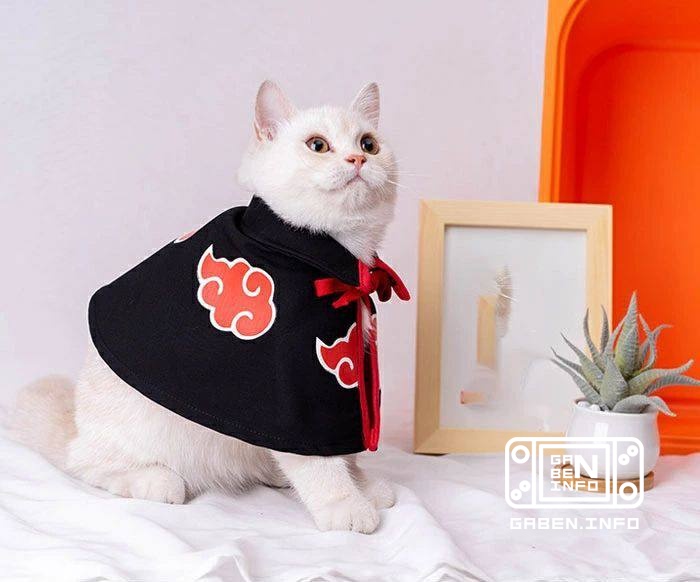 Los fanáticos de Naruto ahora pueden hacerse pasar por la merca para sus mascotas Para los gatos y perros, se han vendid...