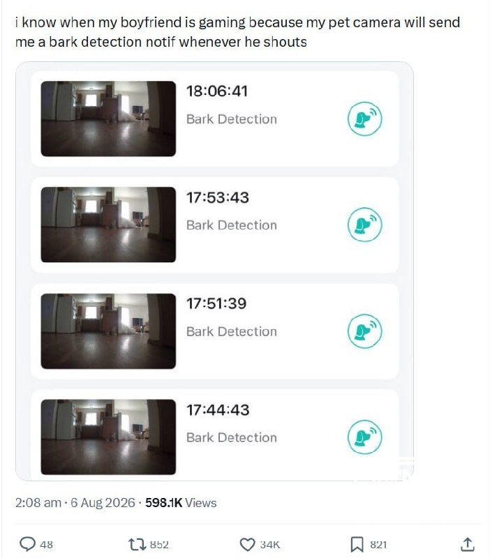 Het bleek dat een slimme camera voor huisdieren elke jongen in de schaduw bracht en hem als een hond nam. Tian praatte e...