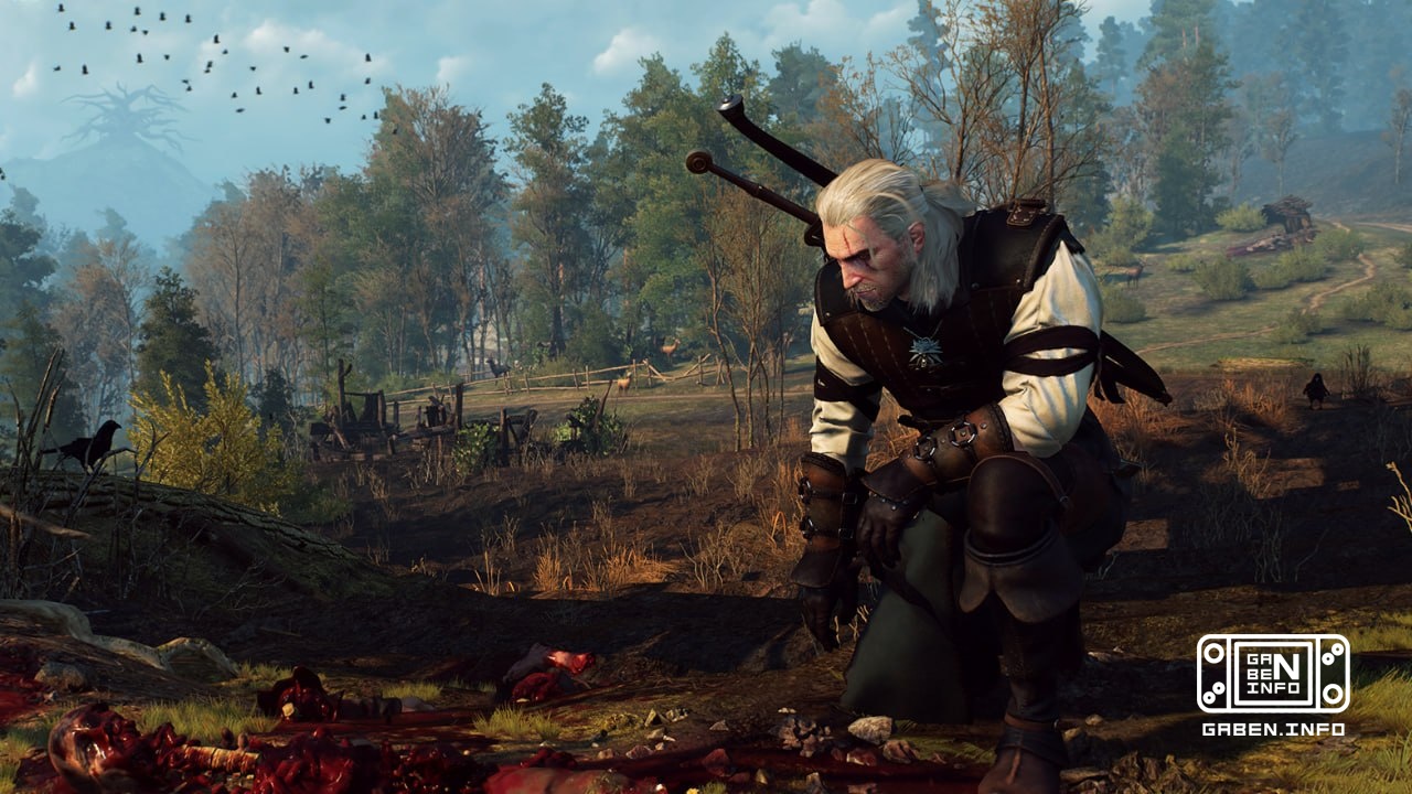 Der Stellvertreter von Geralt in den Spielen "The Witcher" hat nicht verborgen gehalten, dass er sich sehr negativ gegen...