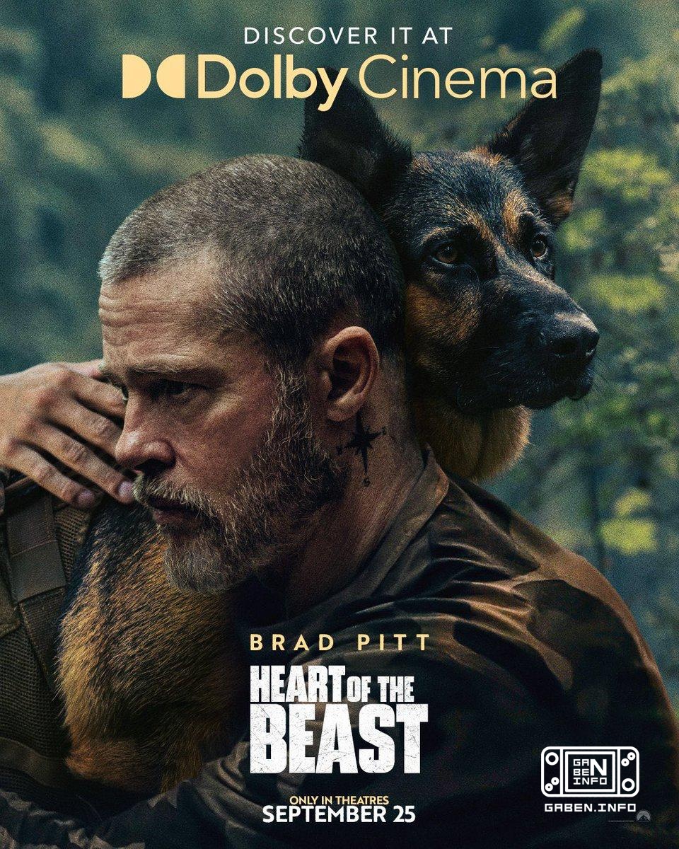 ผมเห็นโปสเตอร์ของหนังที่แบรด พิตต์ดูเหมือนรากนาร์ โลดบร็อค ซึ่งพบว่ามีเทปที่น่าสนใจที่เตรียมพร้อมและควรบันทึกไว้ในเวชลิส...