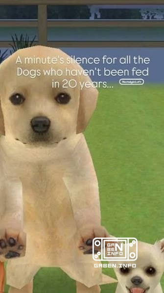 HINWEIS: Auf der Switch wird ein Spiel für echte Männer erscheinen in der Entwicklung eines neuen Nintendogs Die Hoffnun...