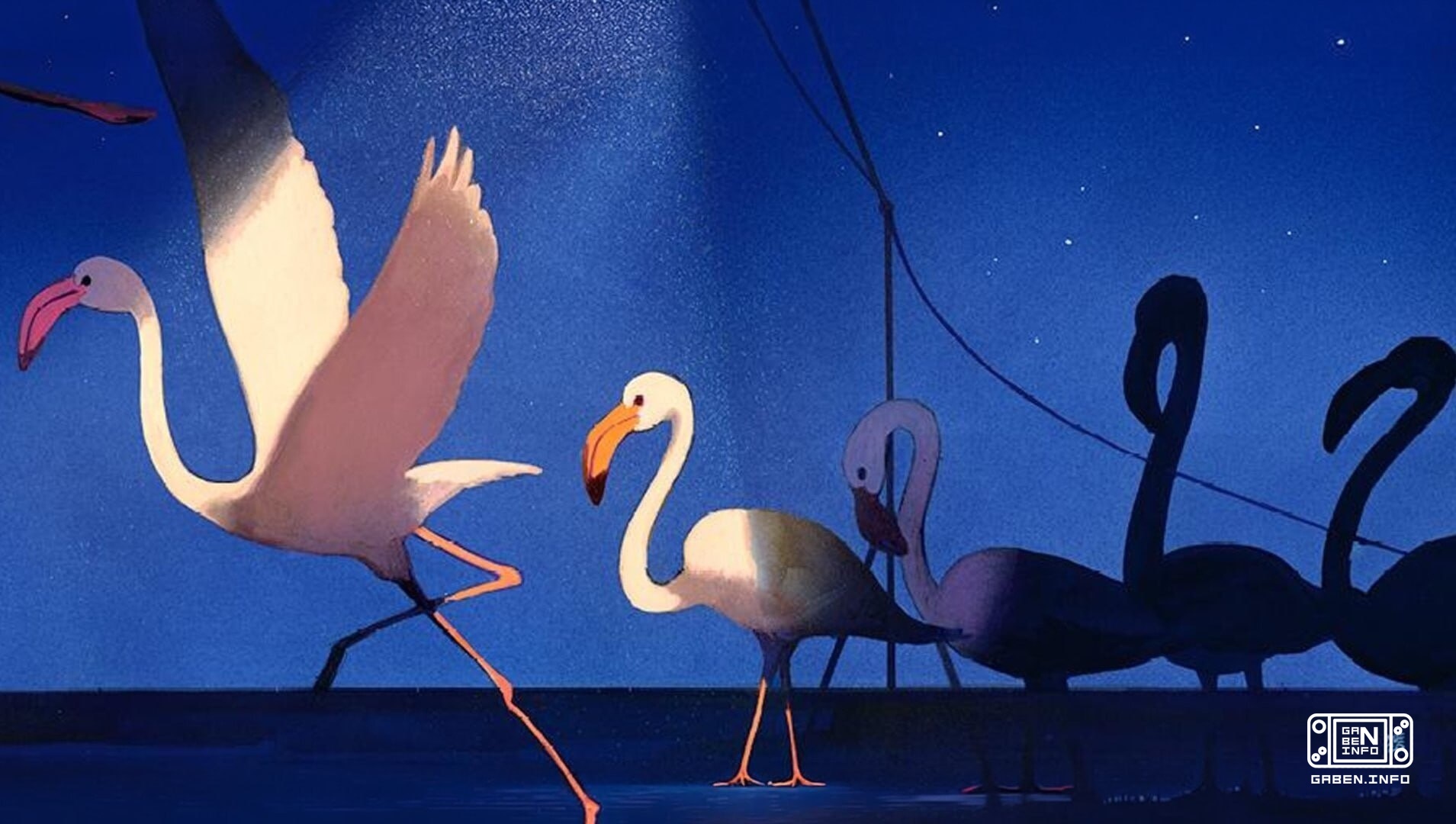 The main winners of the 2026 Venice Film Festival were collected in a single entry. The Danish drama Unknown Woman won t...