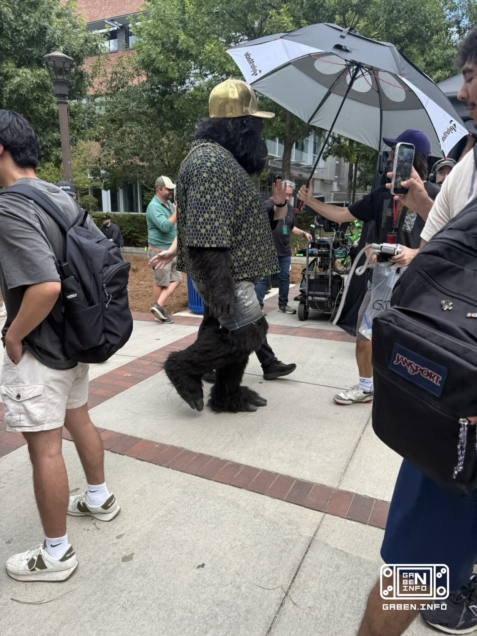 Direktur Jenderal HBO menjelaskan bahwa saat ini hanya ada satu serial DC The People v. Gorilla Grodd yang sedang dalam ...