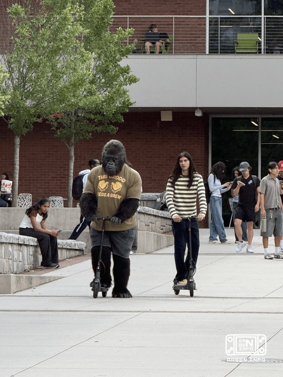 Direktur Jenderal HBO menjelaskan bahwa saat ini hanya ada satu serial DC The People v. Gorilla Grodd yang sedang dalam ...