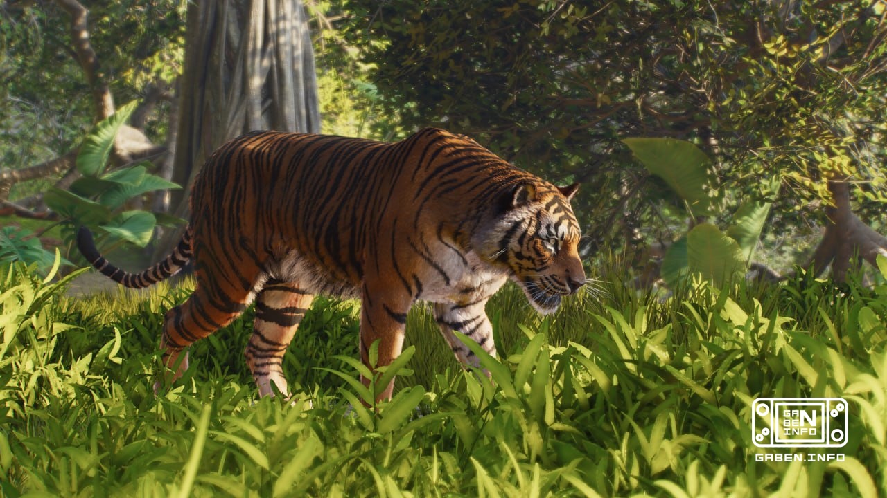 Planet Zoo 2 is a series of animal park simulators from Frontier Developments, the developers of Jurassic World Evolutio...