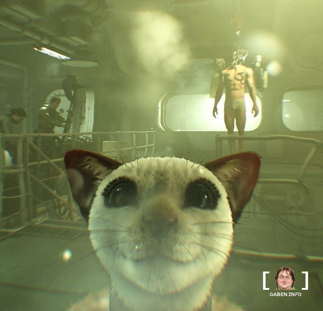 Media reports that MachineGames studio has already begun work on the creation of Wolfenstein III This news was first rep...