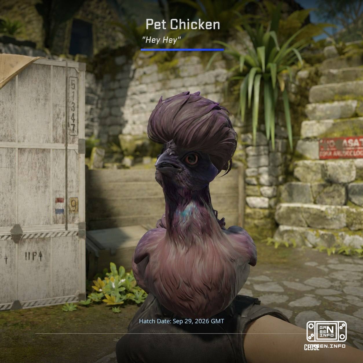 Players are already sharing their adult chicks! 🙂 What does your chip look like?