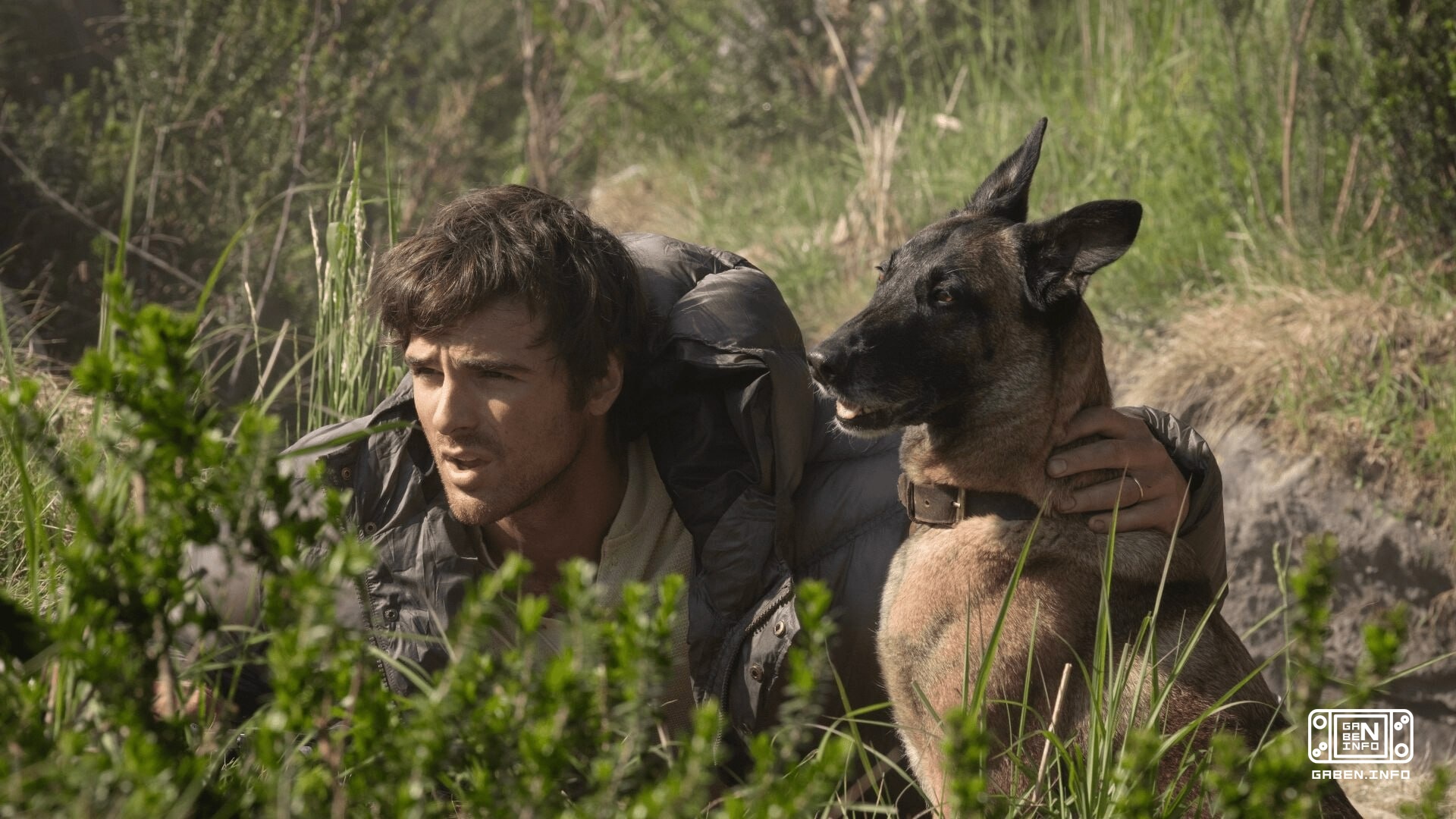 La película se publicó en formato digital, con la estrella del perro Ridley Scott, su trinta obras completas. La películ...