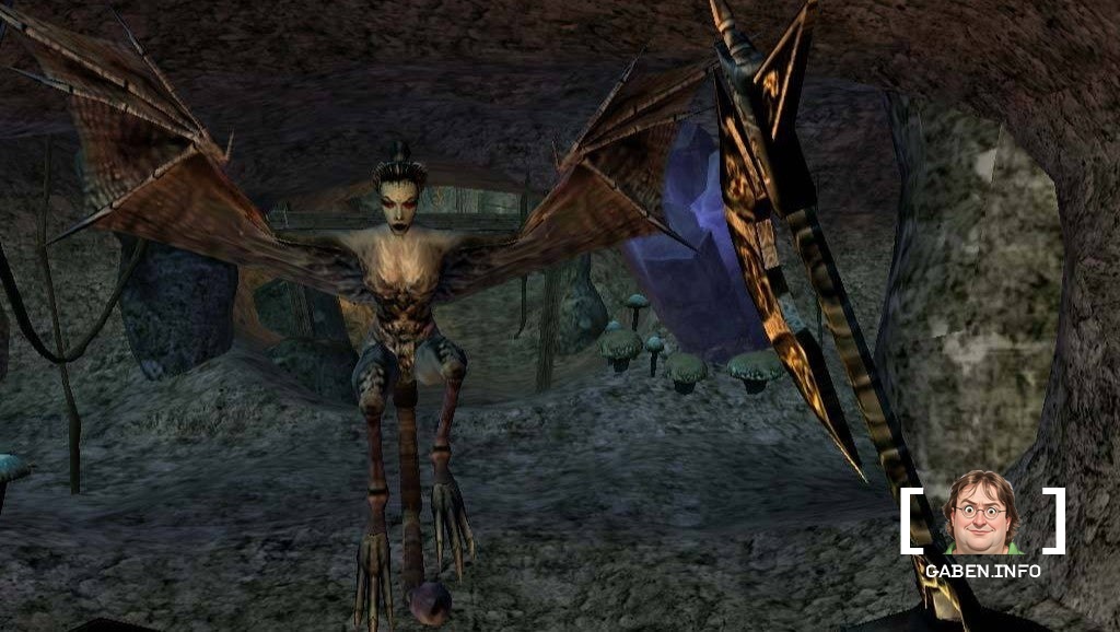 Skyrim's lead designer said people would experience "cringe" if they played Morrowind right now. The publishing director...