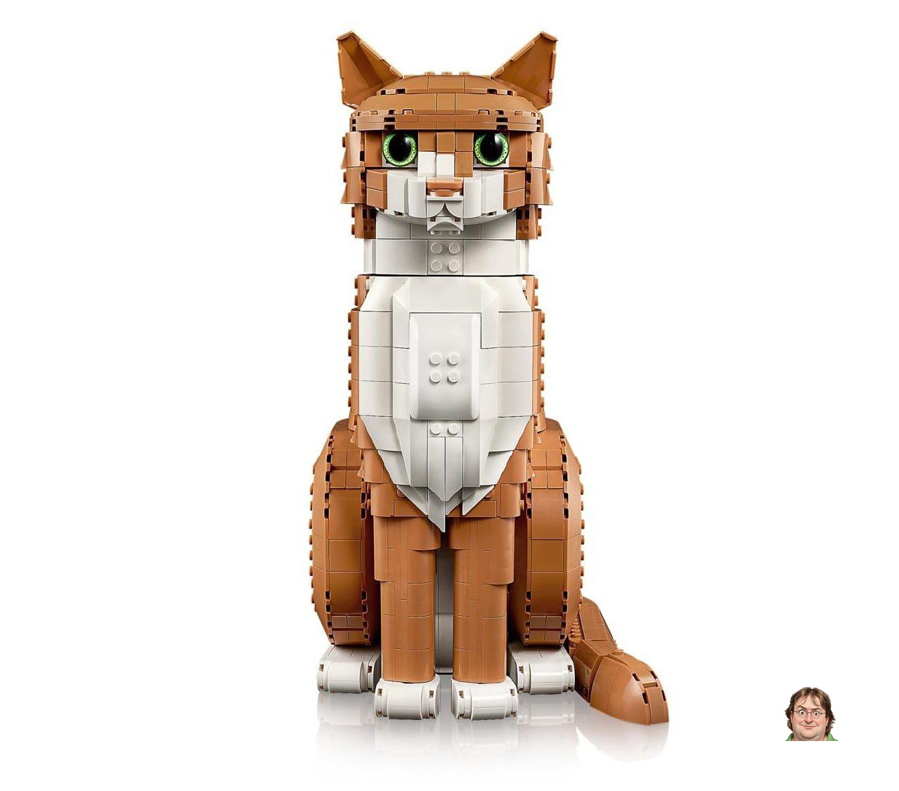 Let's hope he's not that crazy LEGO will release a new version of the meme cat set - now with a red fluffy one.Inside: 1...
