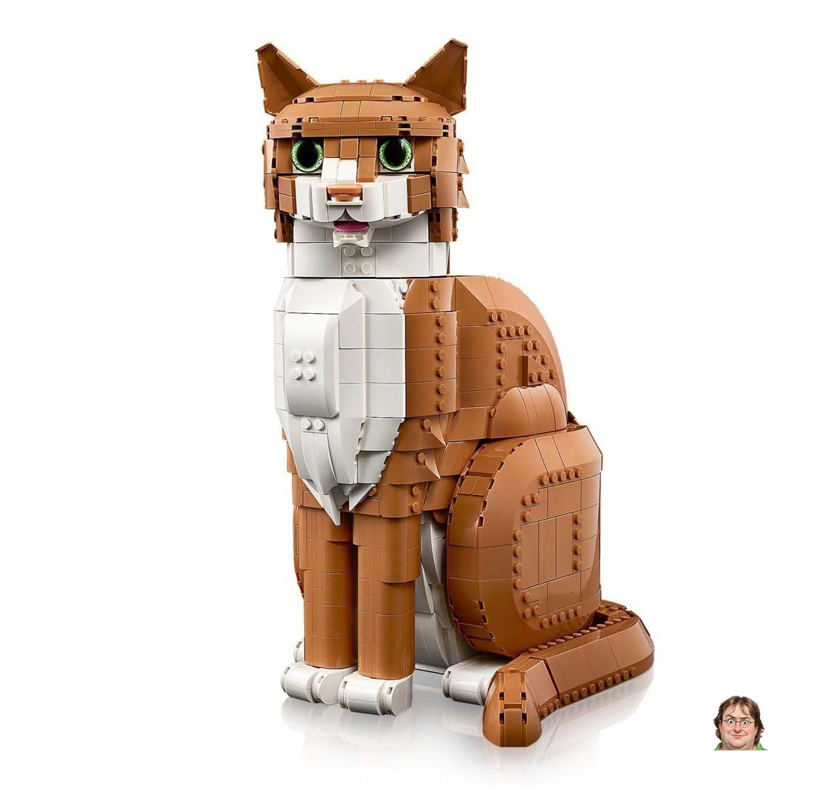 Let's hope he's not that crazy LEGO will release a new version of the meme cat set - now with a red fluffy one.Inside: 1...