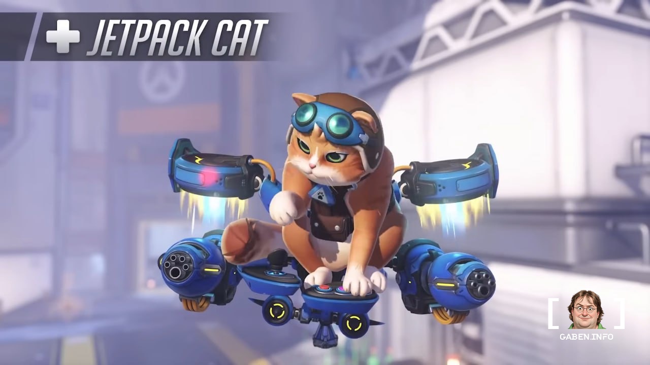 BRUH - Real name is Jetpack Cat Can carry characters around the map (including enemies).