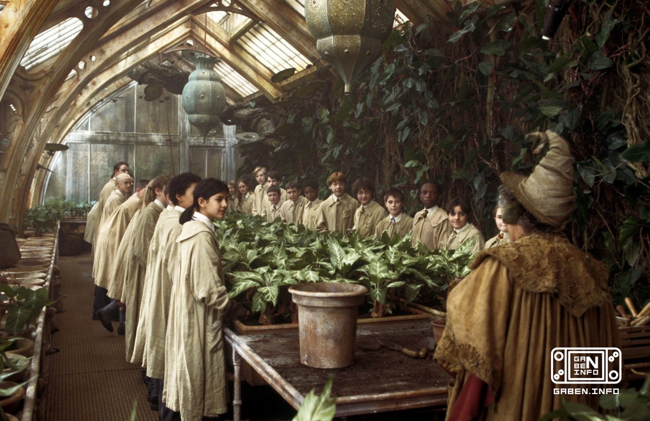 New photos from the filming of the Harry Potter series have appeared online - in them you can see the surroundings of Ho...