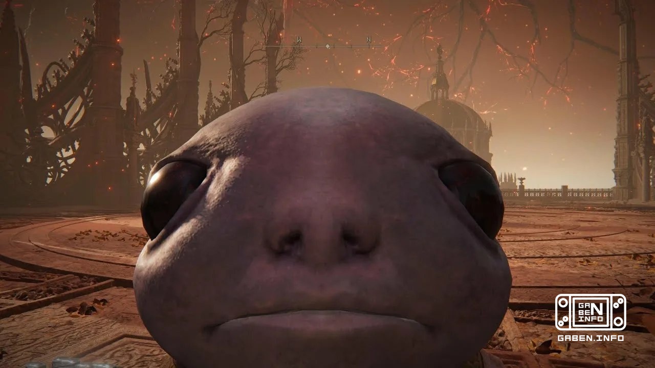 Elden Ring Tarnished Edition and The Duskbloods for Switch 2 are still scheduled for release in 2026 Kadokawa's financia...