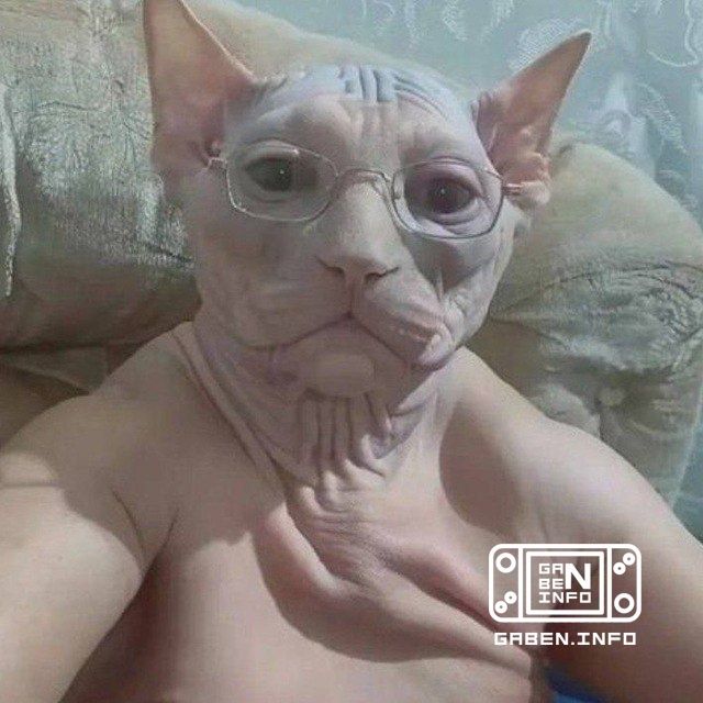 Edmund McMillen explained why he invited so many different Internet personalities to Mewgenics who hate each other Inclu...