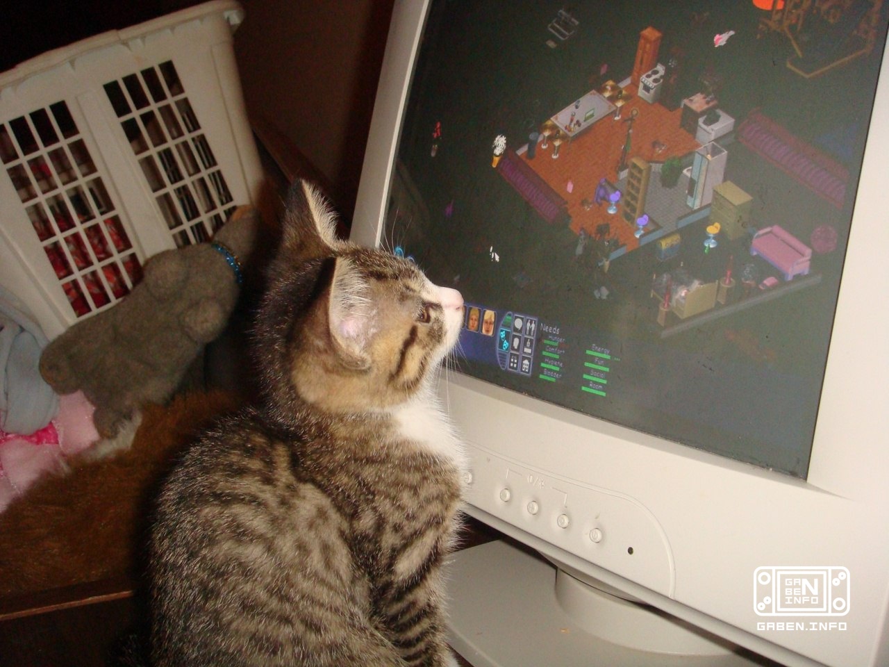 Selection "Cats and retrogaming"🤗