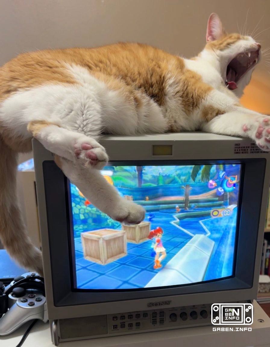 Selection "Cats and retrogaming"🤗