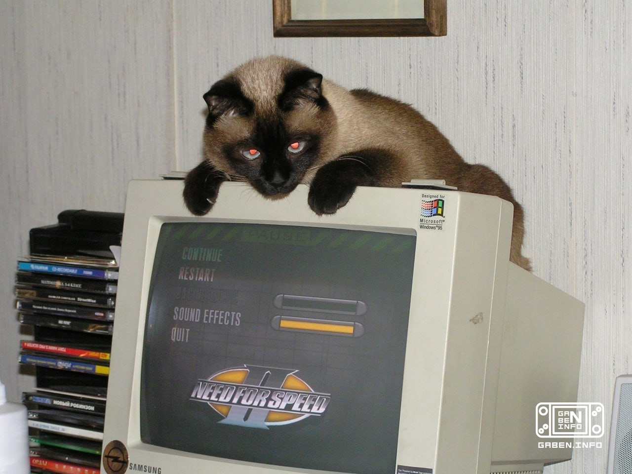 Selection "Cats and retrogaming"🤗