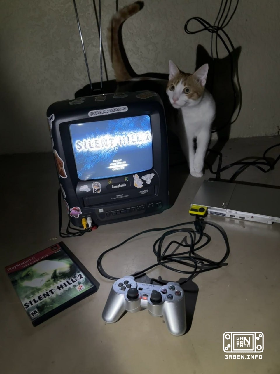 Selection "Cats and retrogaming"🤗