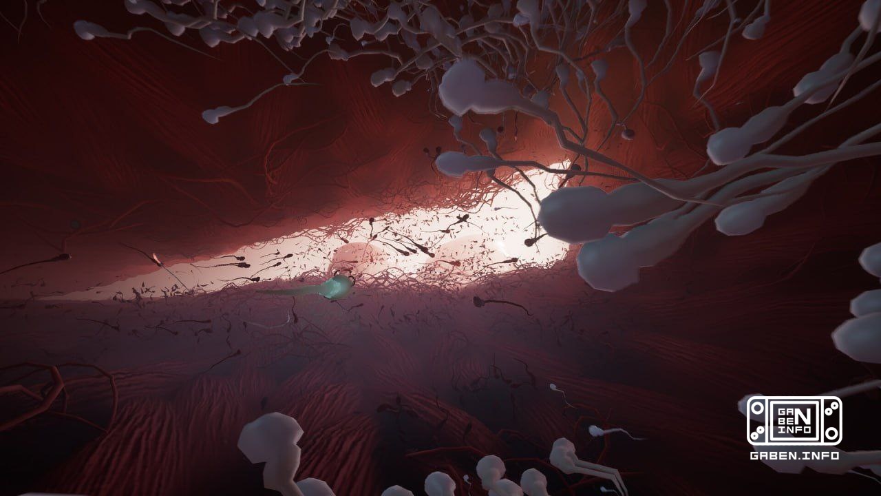 Gaming has reached its peak: the sperm simulator Become will be released this year. Inside we are waiting for survival i...