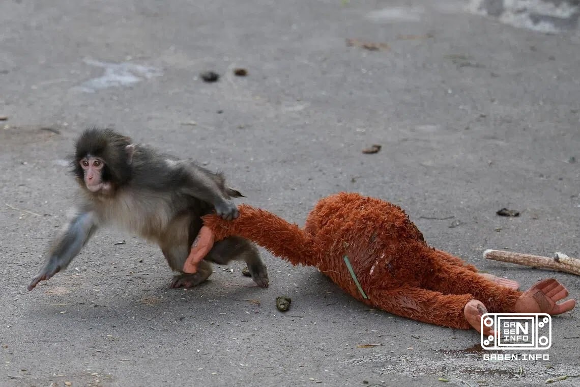 Today Maxim is playing various demos from the festival "There will be games!"on Steam and at the same time trying to che...