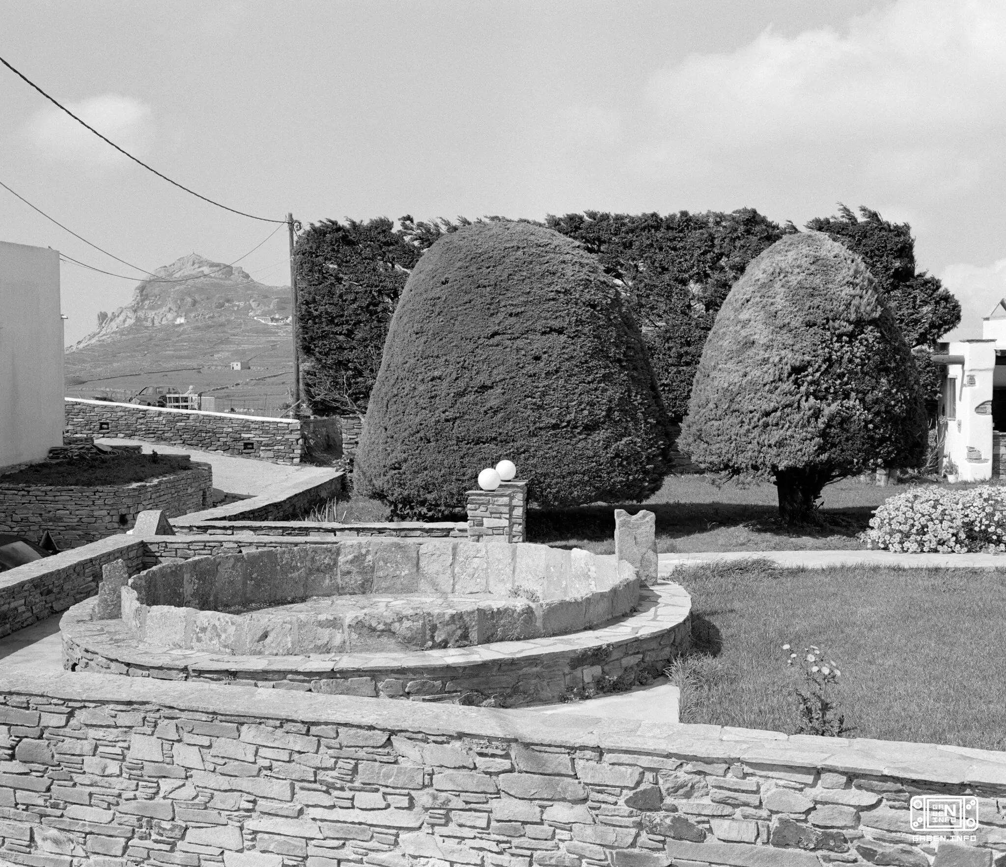 The director of The Lost and Lost and The Lobster, Yorgos Lanthimos, will give up his film career to focus on photograph...