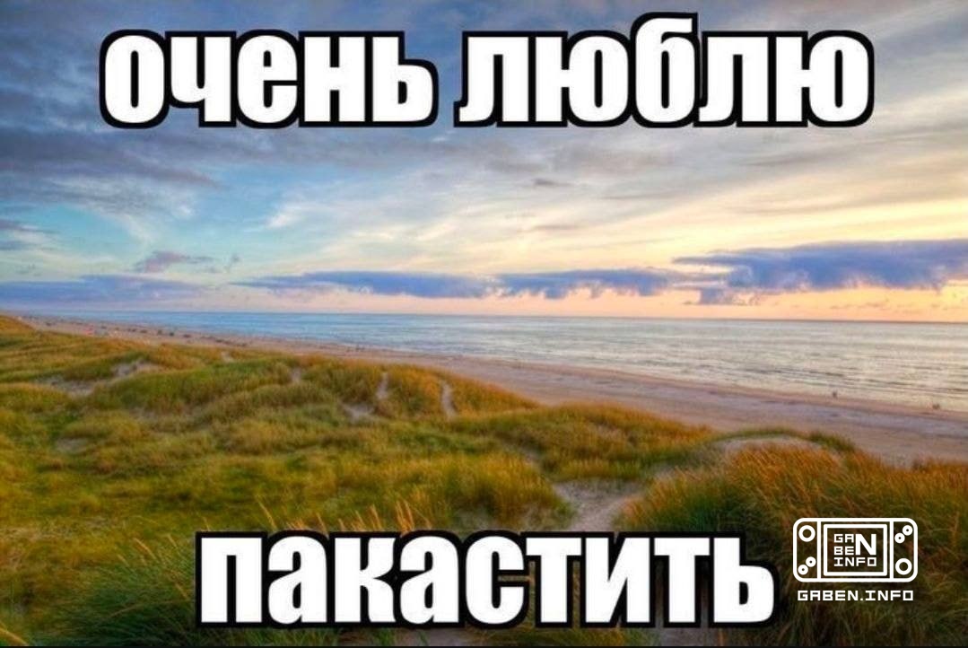 Information for chatters anal.department If you noticed today that you were suddenly banned and cannot write, a large pu...