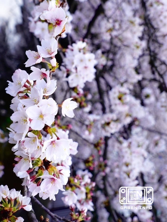 The Minister of Ecology and Environment of Kyrgyzstan visited beautiful places, which he shares on his social media.netw...