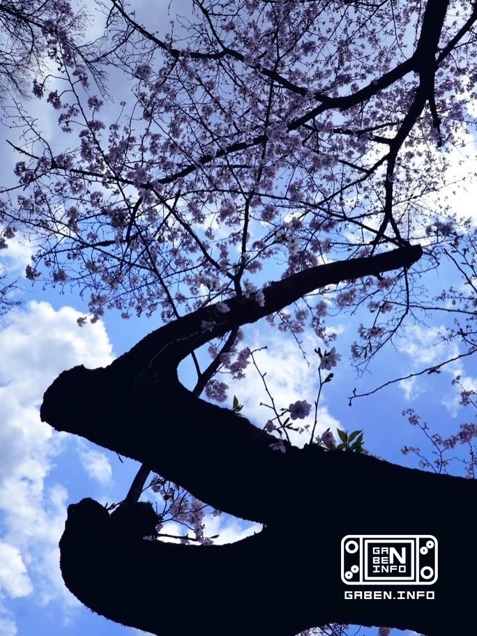 The Minister of Ecology and Environment of Kyrgyzstan visited beautiful places, which he shares on his social media.netw...