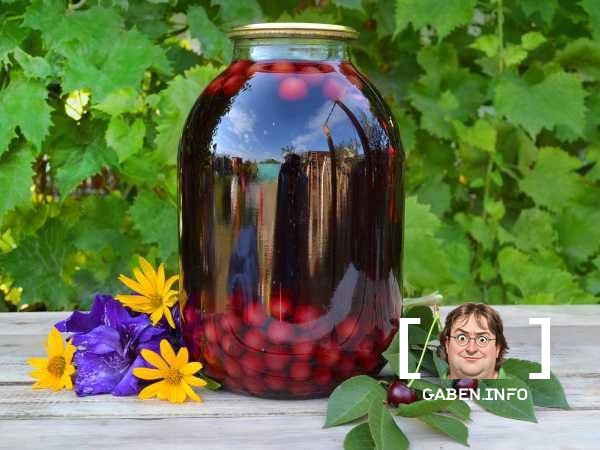 S1mple lost to compote. "In short, here's what happened: the day before yesterday we ordered a compote and left it next ...